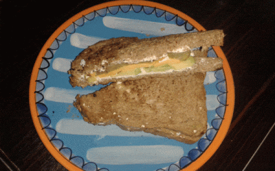 Geitenkaas avocado sandwich