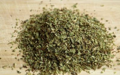 Oregano is een gezonde kruiden tijdens de zwangerschap