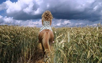 Is paardrijden veilig tijdens de zwangerschap?
