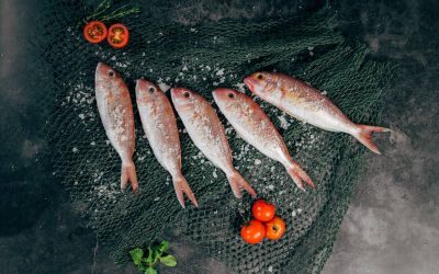 Vis eten – zelfs tonijn – tijdens de zwangerschap gekoppeld aan een betere gezondheid van de hersenen