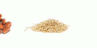 vitamine B4
