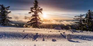 zwanger in de winter of zomer
