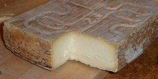 taleggio