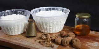 Als je zwanger bent ricotta eten