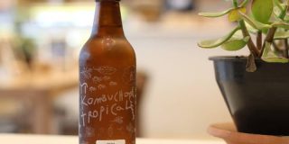 Kombucha tijdens zwangerschap